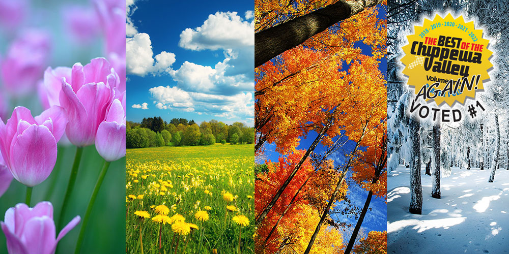 photo collage of four season (Spring, Summer, Fall, Winter)