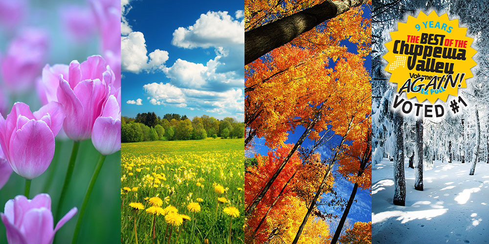 photo collage of four season (Spring, Summer, Fall, Winter)